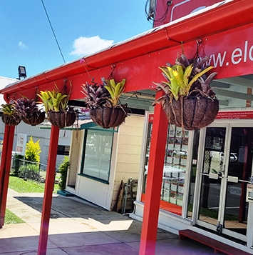 Hanging Baskets